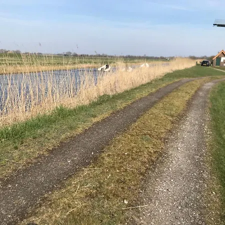 De Schelp 2 *